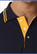 embroidered polo